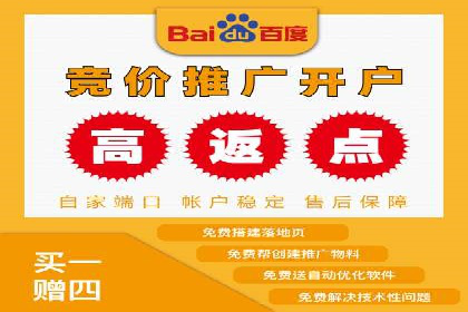 某企业通过SEM实现品牌与销售双增长的案例
